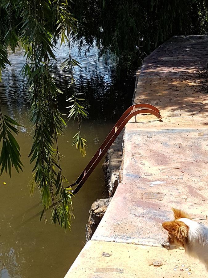 Thandamanzi Self Catering Sabie Kültér fotó